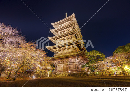 東寺の紅葉 五重塔 夜景(京都府京都市南区九条町) 東寺の紅葉 五重塔 夜景(京都府京都市南区九条町) 96787347