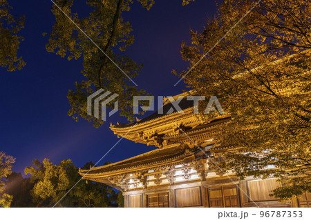 東寺の紅葉　金堂　夜景（京都府京都市南区九条町） 96787353