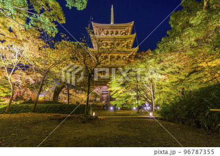 東寺の紅葉　五重塔　夜景（京都府京都市南区九条町） 96787355