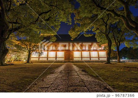 東寺の紅葉 講堂 夜景(京都府京都市南区九条町) 東寺の紅葉 講堂 夜景(京都府京都市南区九条町) 96787366