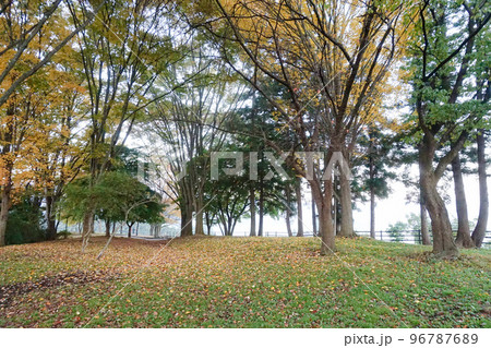 朝霧の赤城高原SA下り【関越自動車道】 朝霧の赤城高原SA下り【関越自動車道】 96787689