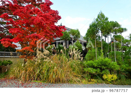 錦秋に参った京都市源光庵の山門が美しい 96787757