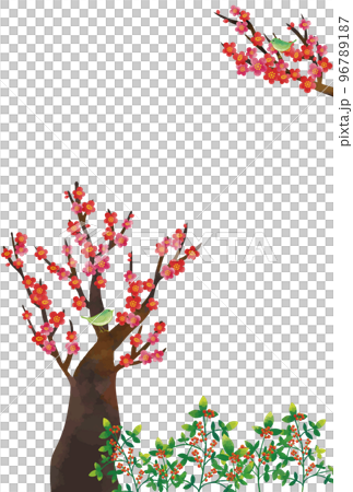 新年賀卡,水彩風格,梅花,夜鶯和南方天空,垂直背景,白色 新年賀卡,水彩風格,梅花,夜鶯和南方天空,垂直背景,白色 96789187