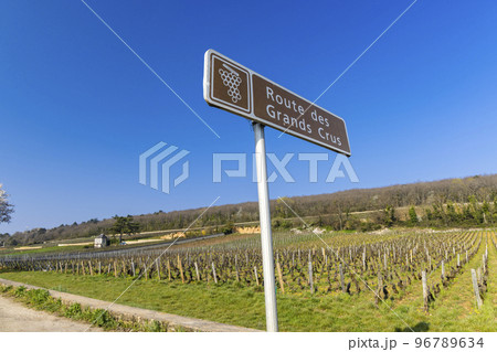 Wine road (Route des Grands Crus) near Beaune, Burgundy, France 96789634