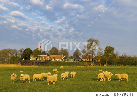 Former island of Schokland, UNESCO World Heritage Site, Netherlands Former island of Schokland, UNESCO World Heritage Site, Netherlands 96789643