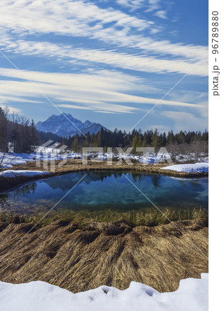 winter landscape in Zelenci, Slovenia 96789880