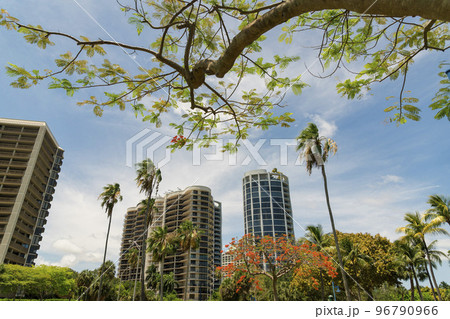 Views of multi-storey residential buildings with trees outdoors at Miami, Florida 96790966