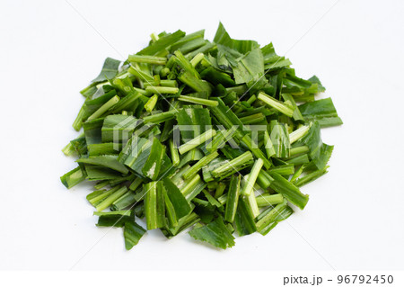 Culantro or sawtooth coriander on white background. 96792450
