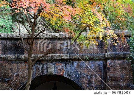 愛岐トンネル群の紅葉 愛岐トンネル群の紅葉 96793008