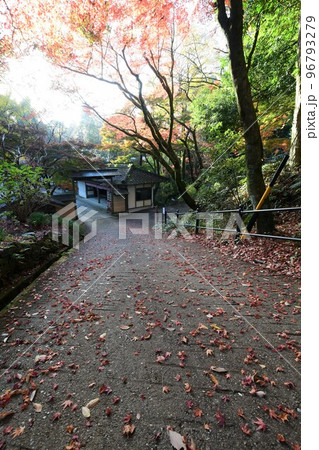 定光寺の紅葉 定光寺の紅葉 96793279