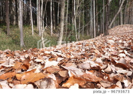 宇都宮市榛名山ハイキングコースの景色 96793673