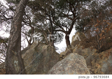 宇都宮市榛名山ハイキングコースの景色 96793684