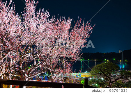 偕楽園_水戸の梅まつり_ライトアップ夜景(茨城県水戸市) 偕楽園_水戸の梅まつり_ライトアップ夜景(茨城県水戸市) 96794033