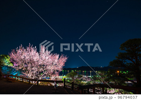偕楽園と千波湖_水戸の梅まつり_ライトアップ夜景（茨城県水戸市） 96794037