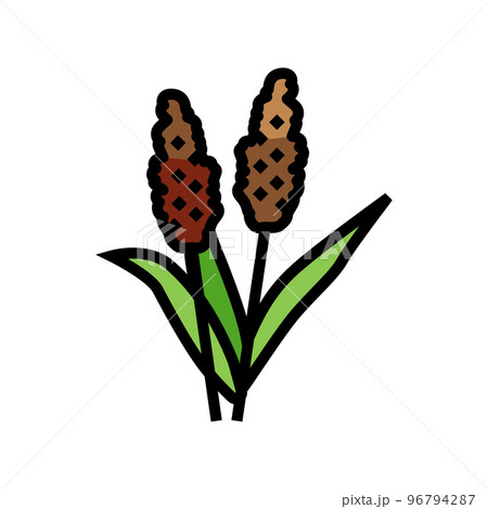 sorghum plant food color icon vector illustration sorghum plant food color icon vector illustration 96794287