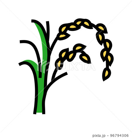 rice plant healthy color icon vector illustration rice plant healthy color icon vector illustration 96794306