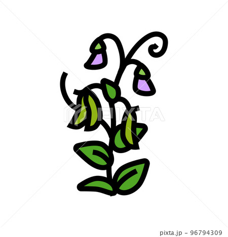 pea plant healthy color icon vector illustration 96794309