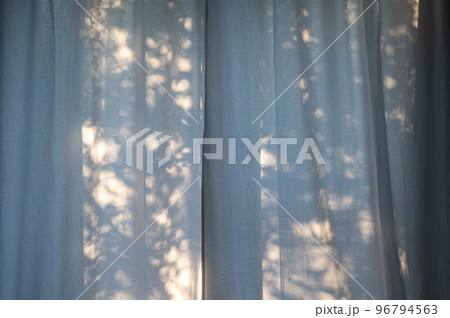 Plant shadows background on the curtains in the window 96794563
