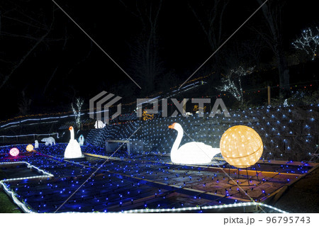 冬のイルミネーションShibata Fantasy Illumination2022 宮城県柴田町 冬のイルミネーションShibata Fantasy Illumination2022 宮城県柴田町 96795743