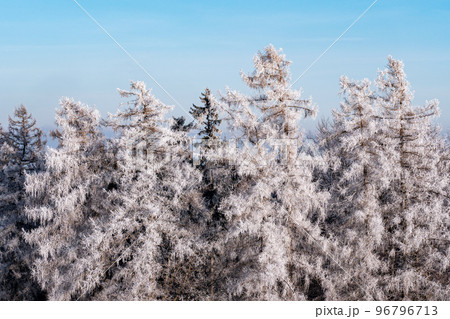 Winter landscape with frozen trees and blue sky 96796713