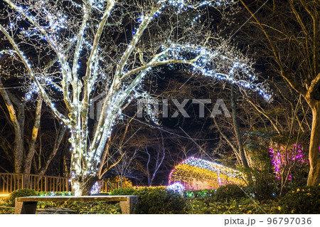 冬のイルミネーションShibata Fantasy Illumination2022　宮城県柴田町 96797036