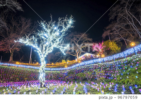 冬のイルミネーションShibata Fantasy Illumination2022　宮城県柴田町 96797059