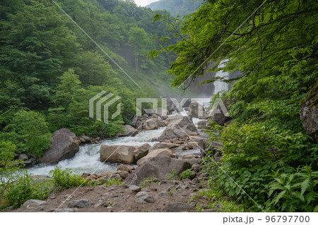初夏の緑の中を流れる苗名滝の落水 96797700