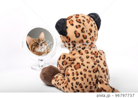 A plush toy leopard looks in the mirror and sees the face of a cat. A plush toy leopard looks in the mirror and sees the face of a cat. 96797737