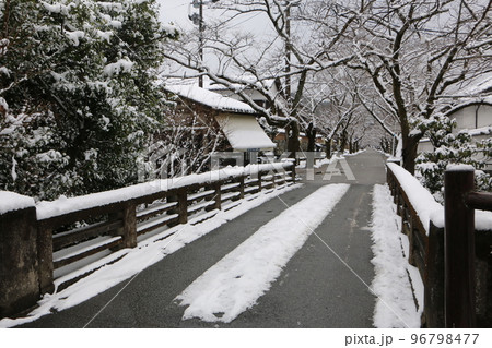 雪の秋月城跡 96798477