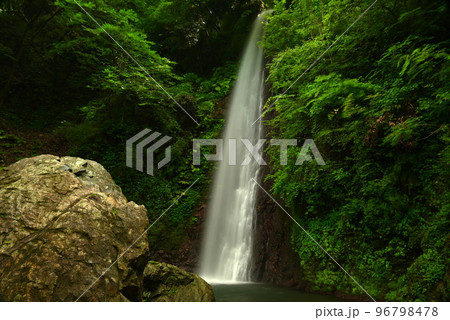 緑のもみじと滝 96798478