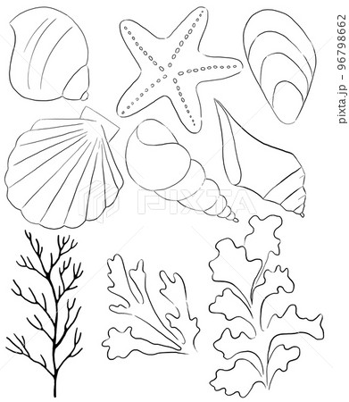 Seashells, starfish, seaweeds and corals made of black outlines, single elements for beach wedding Illustration, clipart Seashells, starfish, seaweeds and corals made of black outlines, single elements for beach wedding Illustration, clipart 96798662