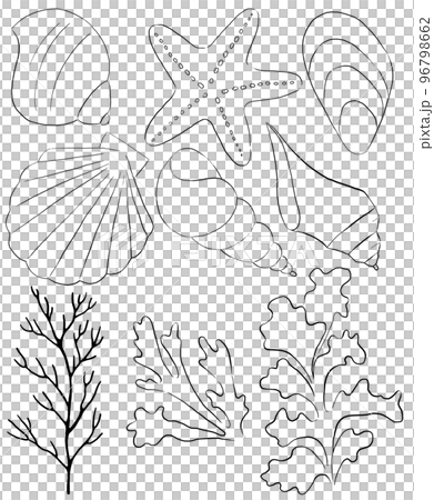 Seashells, starfish, seaweeds and corals made of black outlines, single elements for beach wedding Illustration, clipart Seashells, starfish, seaweeds and corals made of black outlines, single elements for beach wedding Illustration, clipart 96798662