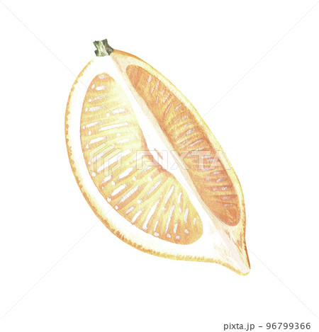 A quarter of a lemon. A piece of citrus. Watercolor illustration. Isolated on a white background.For your design stickers, nature prints, product packaging with citrus acid or scent, kitchen utensils A quarter of a lemon. A piece of citrus. Watercolor illustration. Isolated on a white background.For your design stickers, nature prints, product packaging with citrus acid or scent, kitchen utensils 96799366