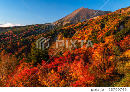 《福島県》紅葉の天狗の庭・秋の磐梯吾妻スカイライン《紅葉最盛期》 96799746
