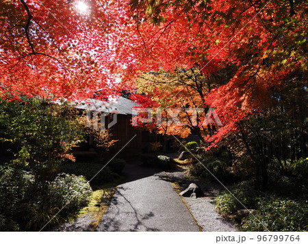 栃木・日光　田母沢御用邸　研修室・研修ホール入口前の紅葉 96799764