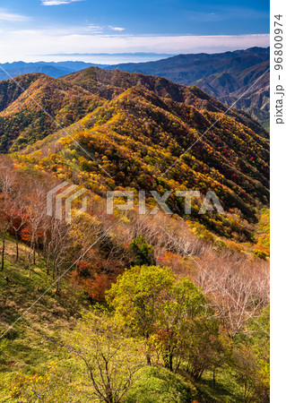 《栃木県》紅葉の奥日光・秋の半月山の眺望 96800974