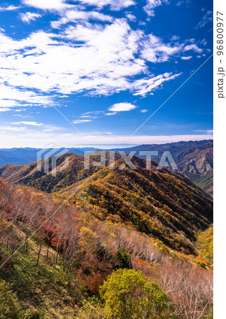 《栃木県》紅葉の奥日光・秋の半月山の眺望 96800977