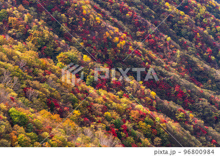 《栃木県》紅葉の奥日光・秋の半月山の眺望 96800984