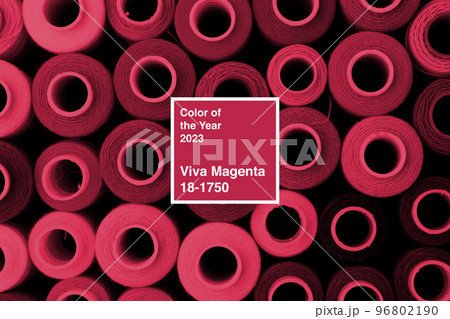 Close up of colored thread coils, thread spools background. Color of the year 2023, viva magenta. Close up of colored thread coils, thread spools background. Color of the year 2023, viva magenta. 96802190