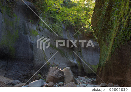 由布川峡谷(猿渡入り口より上流側) 由布川峡谷(猿渡入り口より上流側) 96803830