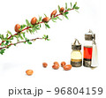 Cosmetic means: authentics oriental bottles with cosmetic oil, argan nuts and green leaves of argania spinosa tree on isolated background.  96804159