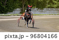 Jockey and horse. Trotting horse race. Race in harness with a sulky or racing bike. Harness racing. Trotting horse race. Sport banner 96804166