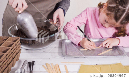 Little girl helping to plant herb seeds into small containers for a homeschool project. 96804967