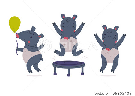 Cute Grey Tapir Animal with Proboscis Jumping on Trampoline and Holding Balloon Vector Set 96805405