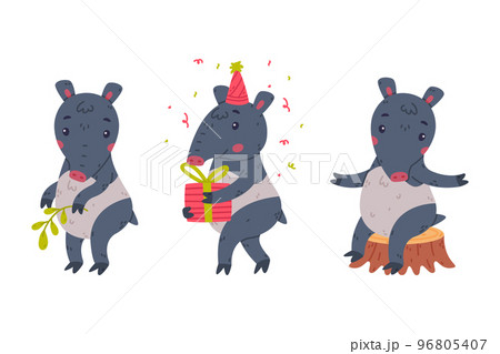 Cute Grey Tapir Animal with Proboscis Sitting on Tree Stump and with Gift Box Vector Set Cute Grey Tapir Animal with Proboscis Sitting on Tree Stump and with Gift Box Vector Set 96805407
