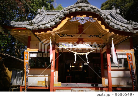 熊野神社　野田町　出水市　鹿児島県 96805497