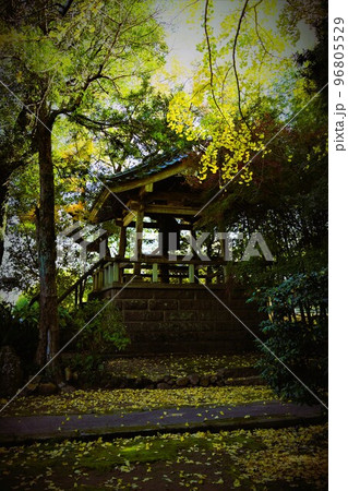 感応寺 島津家菩提寺(日本最初の禅寺) 感応寺 島津家菩提寺(日本最初の禅寺) 96805529