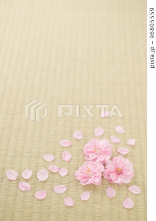 畳の上に散った桃の花びら 96805559