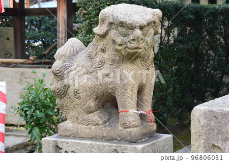 狛犬の石像(菅原神社/大阪府堺市堺区戎之町東2-1-38) 狛犬の石像(菅原神社/大阪府堺市堺区戎之町東2-1-38) 96806031