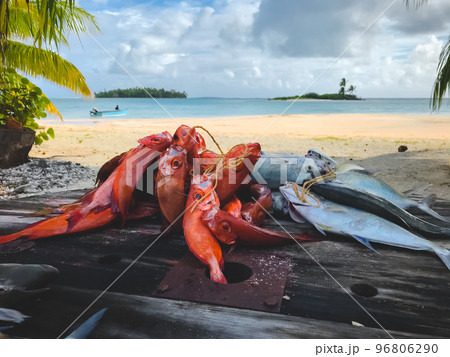 Fresh fish caught in morning on tropical island Tikehau, Polynesia. Catch for sale at fish market. Fisherman boat and sand beach in background. Amazing natural summer scenery. Travel, tourism, holiday Fresh fish caught in morning on tropical island Tikehau, Polynesia. Catch for sale at fish market. Fisherman boat and sand beach in background. Amazing natural summer scenery. Travel, tourism, holiday 96806290